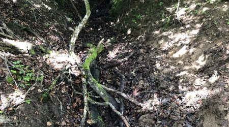 Häge Bergbrunnenstube