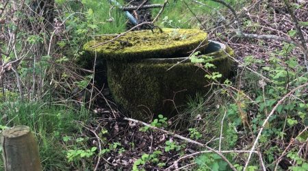 Rüttenen1_web