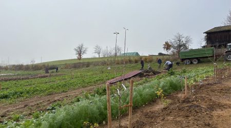 Solawifeld Möhreblick