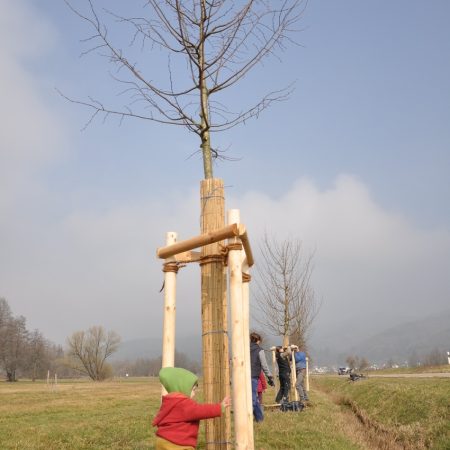 image003